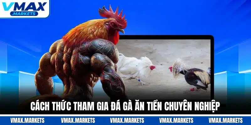 Cách thức tham gia đá gà ăn tiền chuyên nghiệp