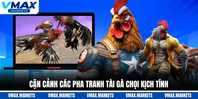 Cận cảnh các pha tranh tài gà chọi kịch tính