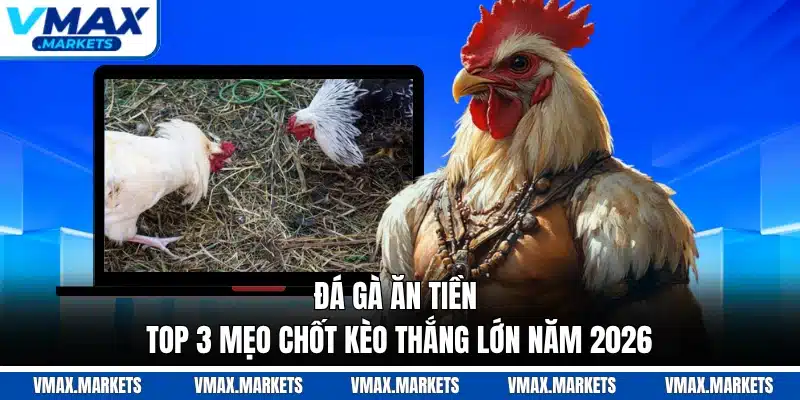 Đá Gà Ăn Tiền - Top 3 Mẹo Chốt Kèo Thắng Lớn Năm 2026