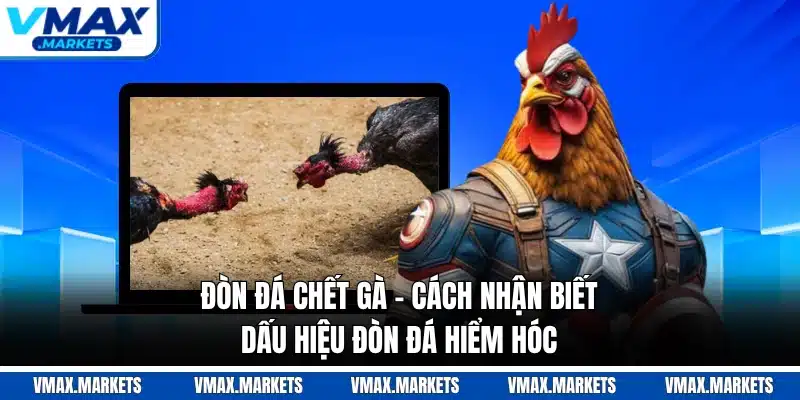 Đòn Đá Chết Gà - Cách Nhận Biết Dấu Hiệu Đòn Đá Hiểm Hóc