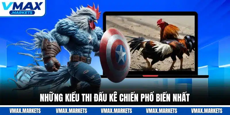 Những kiểu thi đấu kê chiến phổ biến nhất
