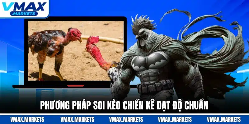 Phương pháp soi kèo chiến kê đạt độ chuẩn