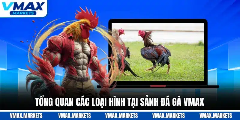 Tổng quan các loại hình tại sảnh đá gà VMAX